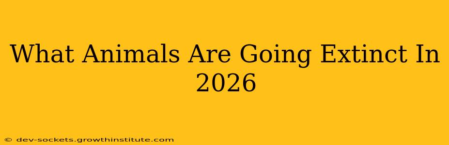What Animals Are Going Extinct In 2026