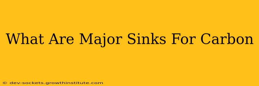 What Are Major Sinks For Carbon