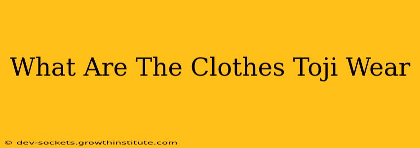 What Are The Clothes Toji Wear