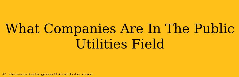 What Companies Are In The Public Utilities Field