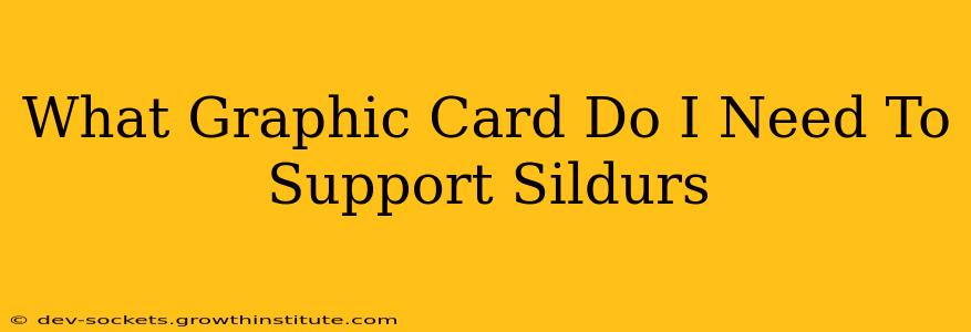 What Graphic Card Do I Need To Support Sildurs