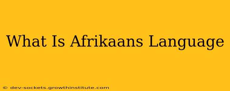 What Is Afrikaans Language