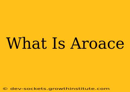 What Is Aroace
