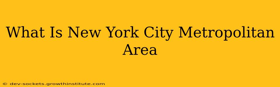 What Is New York City Metropolitan Area