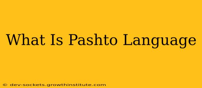 What Is Pashto Language