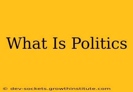 What Is Politics