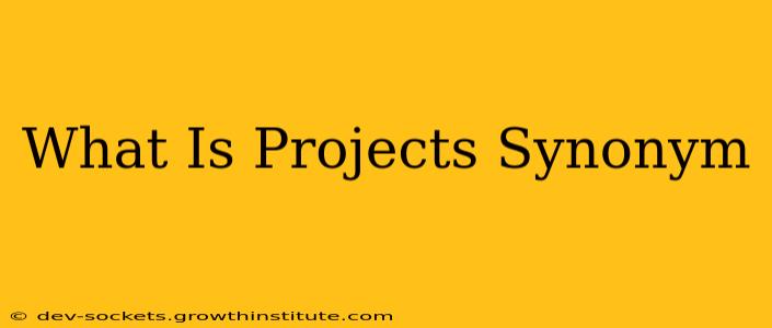 What Is Projects Synonym