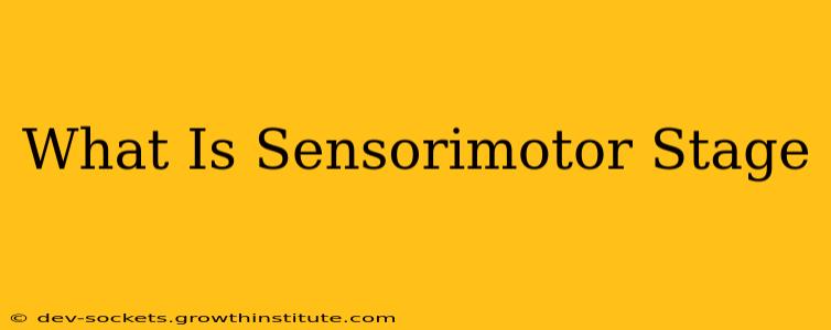 What Is Sensorimotor Stage