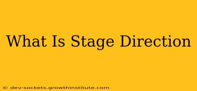 What Is Stage Direction