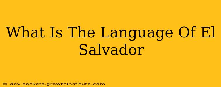 What Is The Language Of El Salvador
