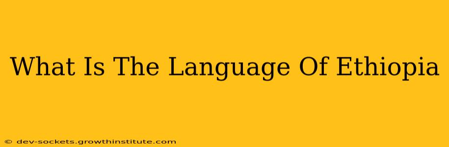 What Is The Language Of Ethiopia