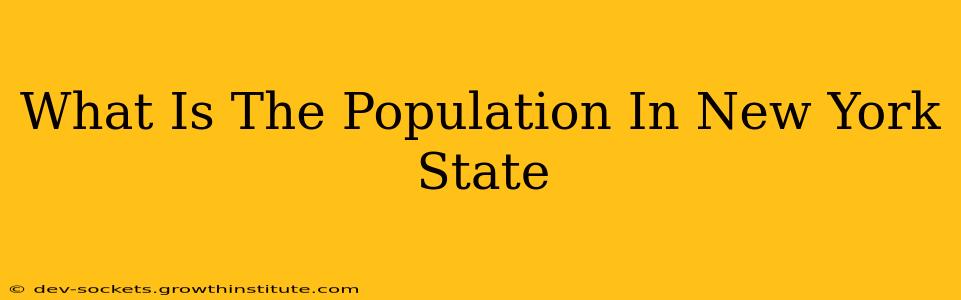 What Is The Population In New York State