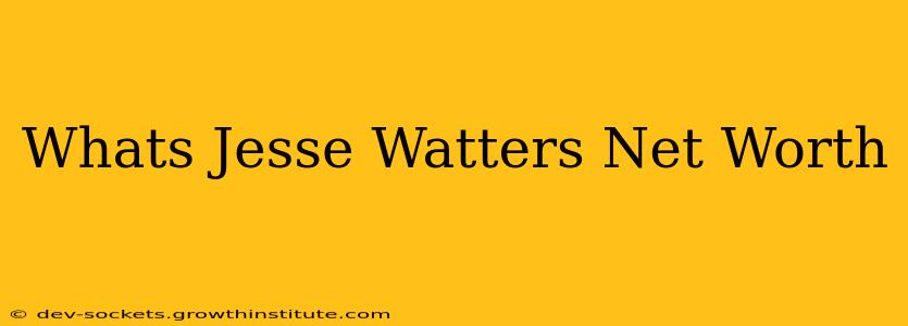 Whats Jesse Watters Net Worth