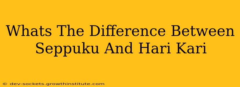 Whats The Difference Between Seppuku And Hari Kari