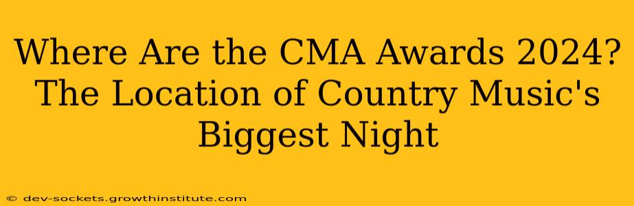 Where Are the CMA Awards 2024? The Location of Country Music's Biggest Night