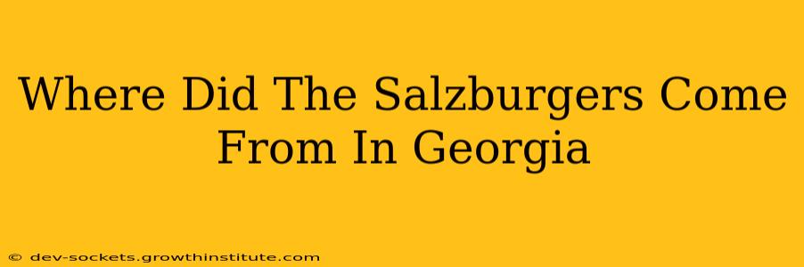 Where Did The Salzburgers Come From In Georgia