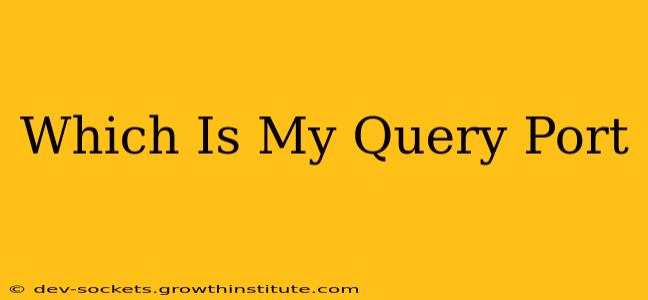 Which Is My Query Port