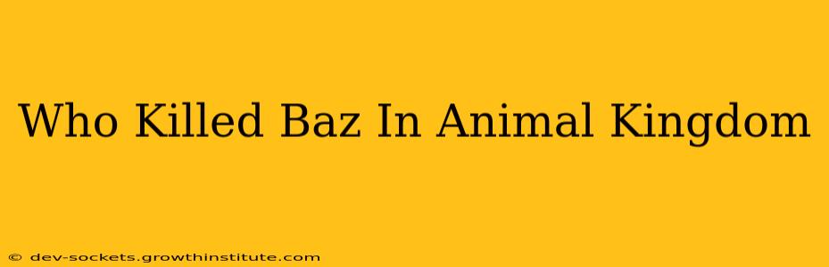 Who Killed Baz In Animal Kingdom