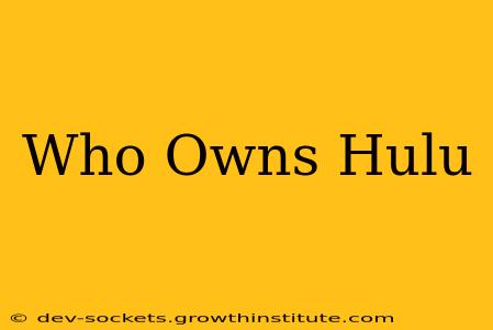 Who Owns Hulu
