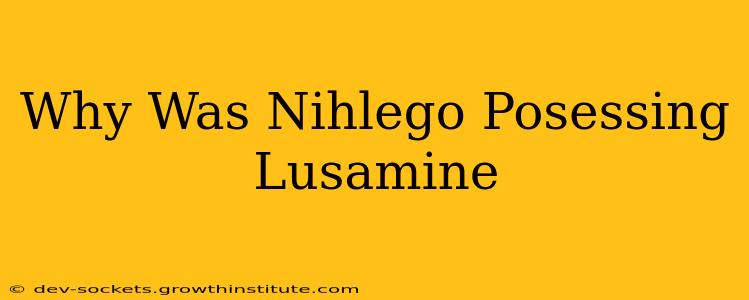 Why Was Nihlego Posessing Lusamine