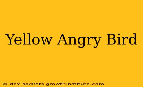 Yellow Angry Bird